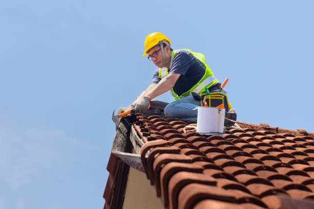 Best Roof Maintenance and Cleaning  in Sylvan Lake, MI